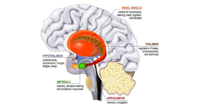 Why Traumatic Brain Injury Changes a Person